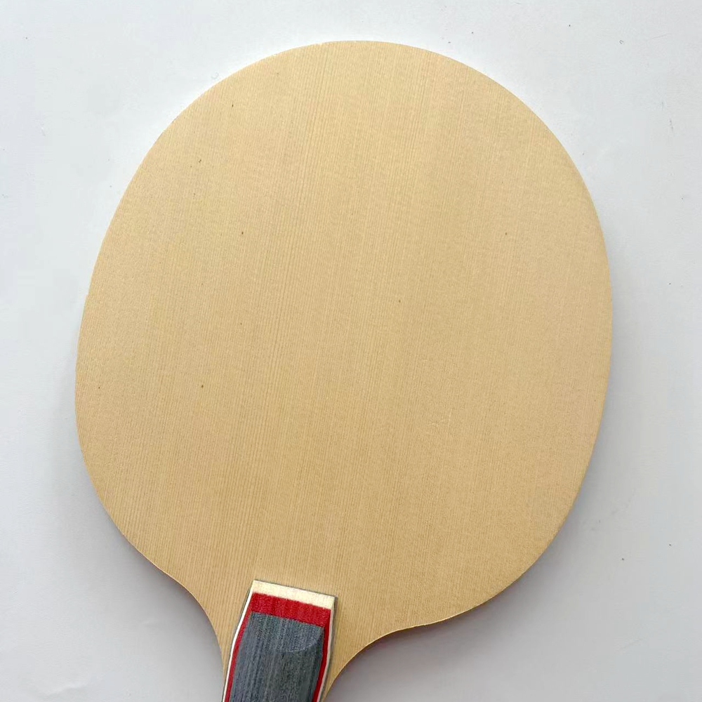 Regular offensive Table Tennis - đánh giá và giá Table Tennis Custom Bat