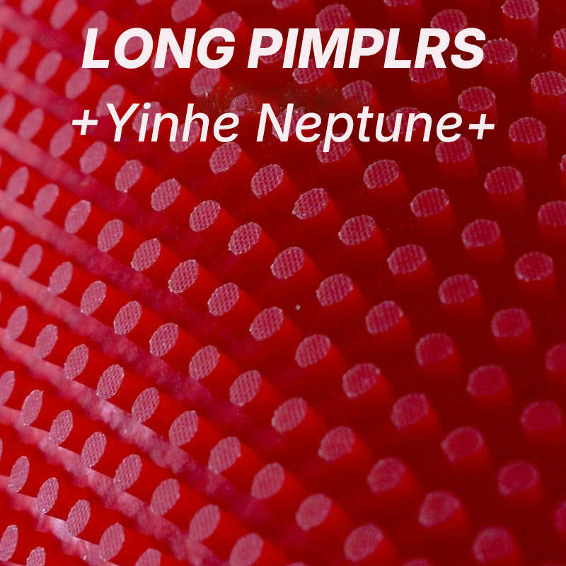 YINHE NEPTUNE Long Pimples Tab - đánh giá và giá Table Tennis Rubber Anti Spin