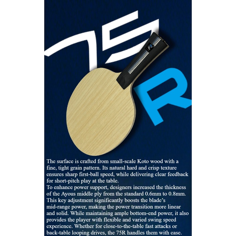 SANWEI 75R 5+2 Outer H-GLC Tab - đánh giá và giá Table Tennis Blades