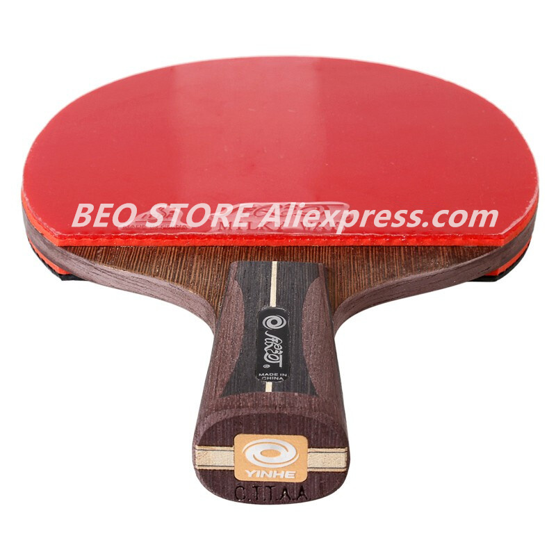 YINHE 12 Sao Vợt Galaxy Arbale - đánh giá và giá Table Tennis Joola