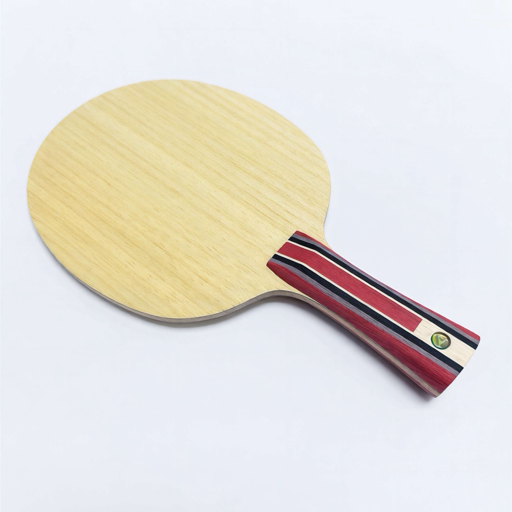 Fan ZD Golden Logo Carbon Fibe - đánh giá và giá Table Tennis Custom Bat