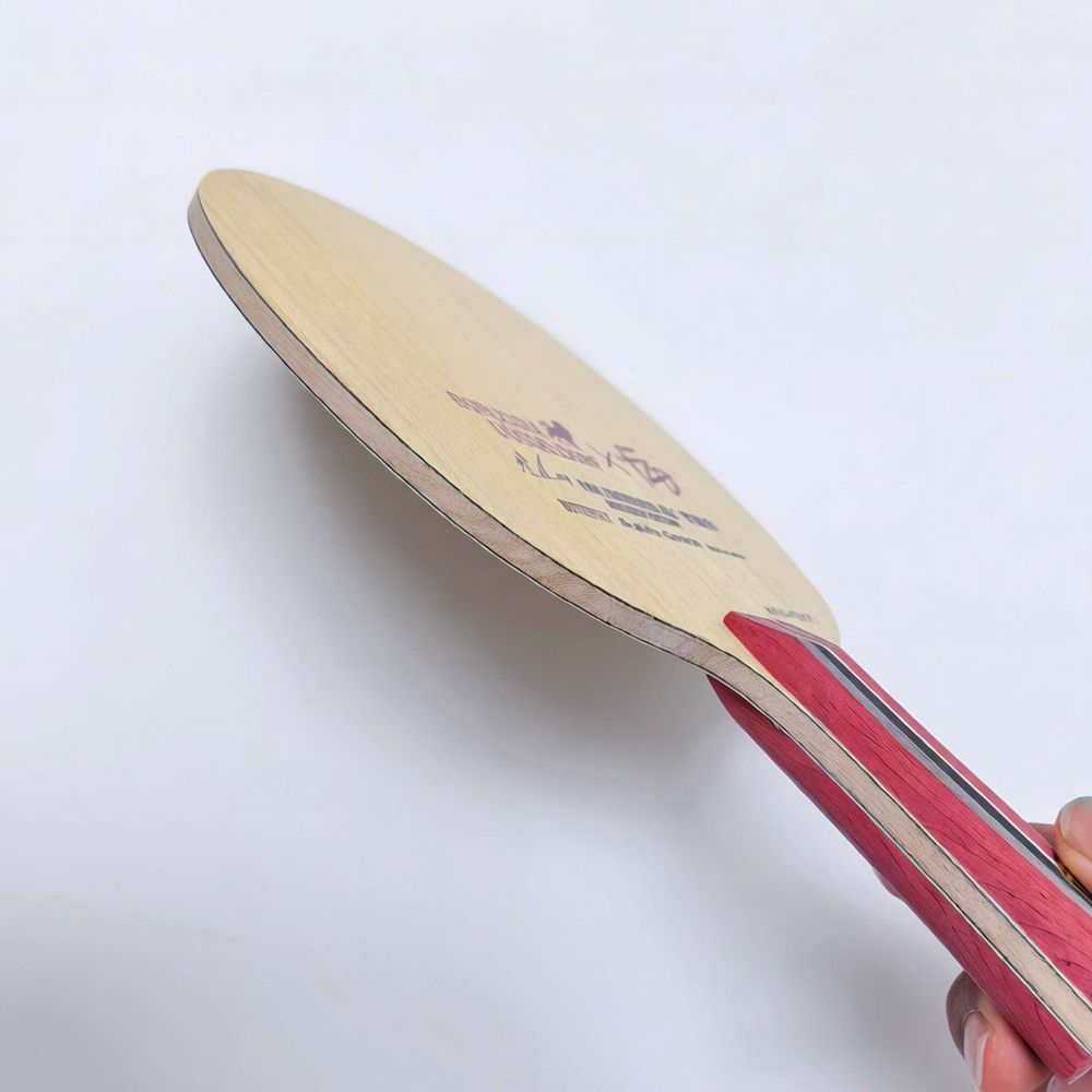 Fan ZD Golden Logo Carbon Fibe - đánh giá và giá Table Tennis Custom Bat