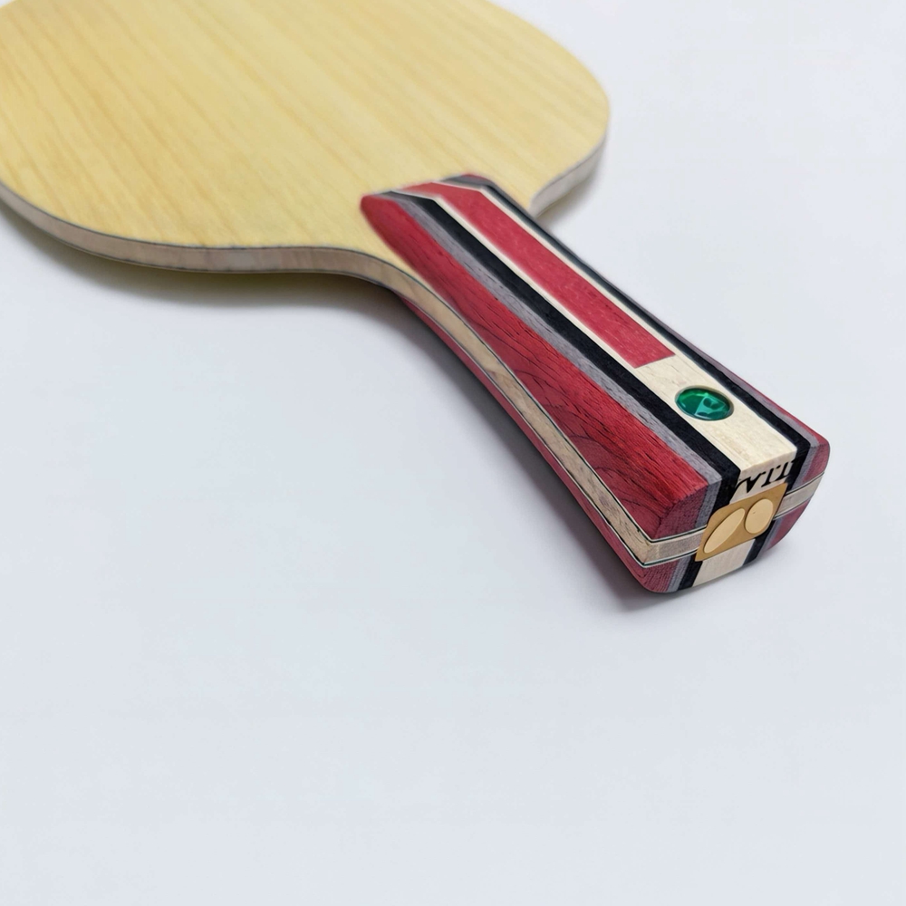 Fan ZD Golden Logo Carbon Fibe - đánh giá và giá Table Tennis Custom Bat